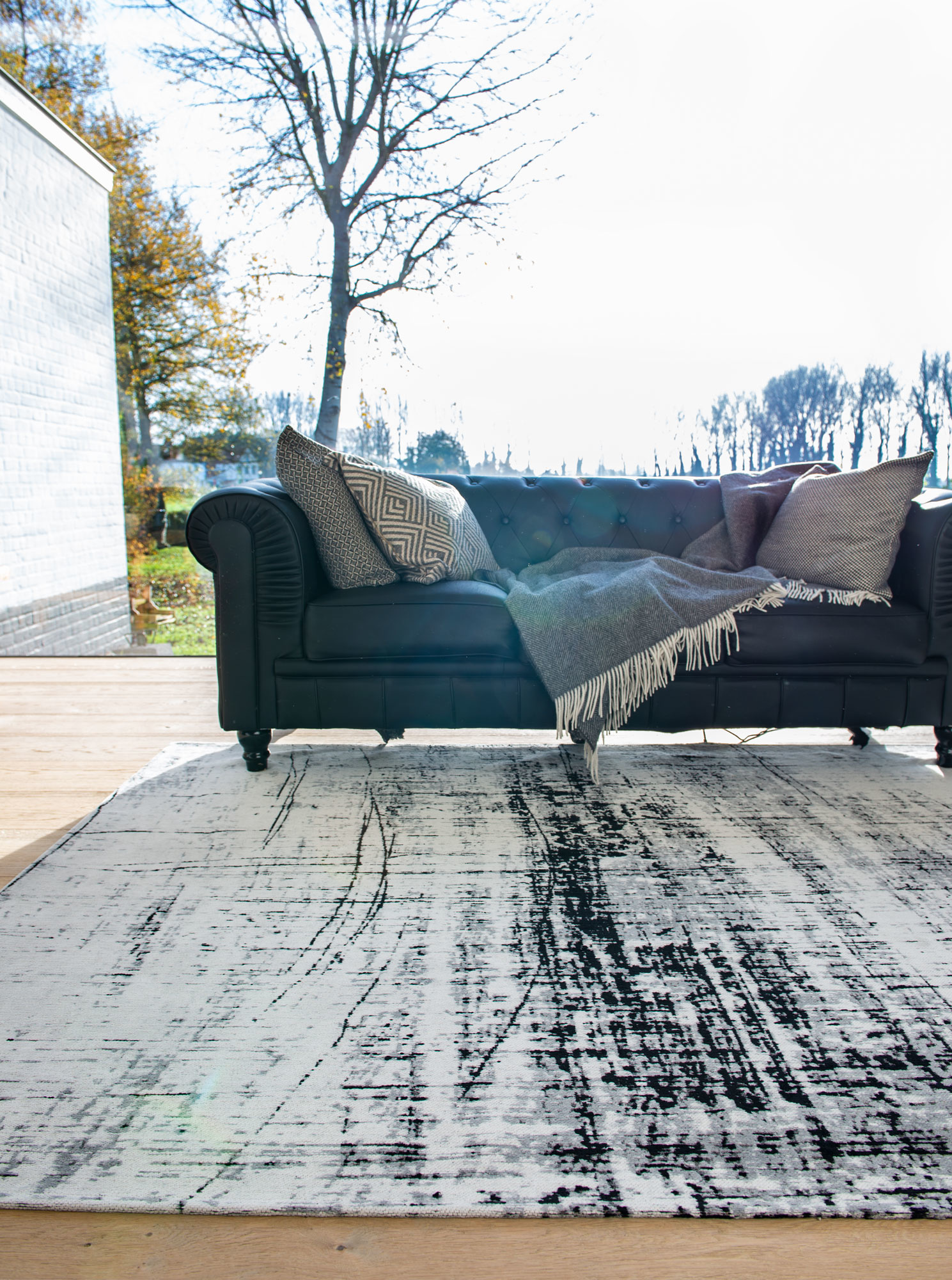 Black & White Rug | Size: 280 × 390 cm