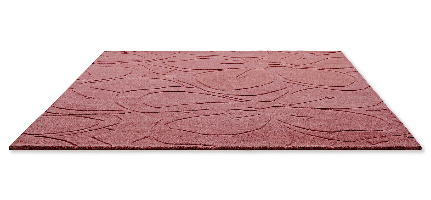 Romantic Magnolia Rug | Size: 200 × 280 cm