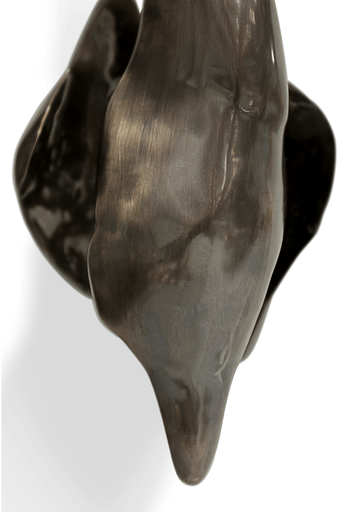 Solar Flare Patina Sconce