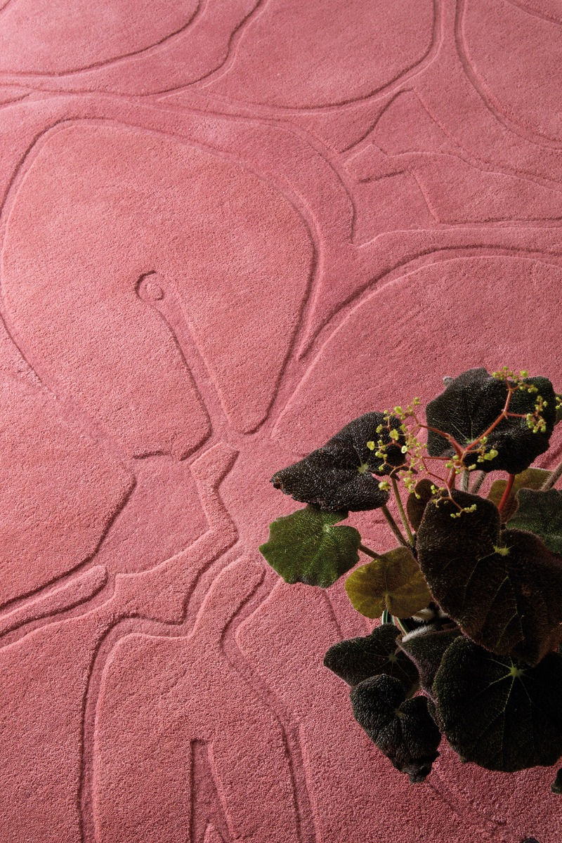 Romantic Magnolia Rug | Size: 200 × 280 cm