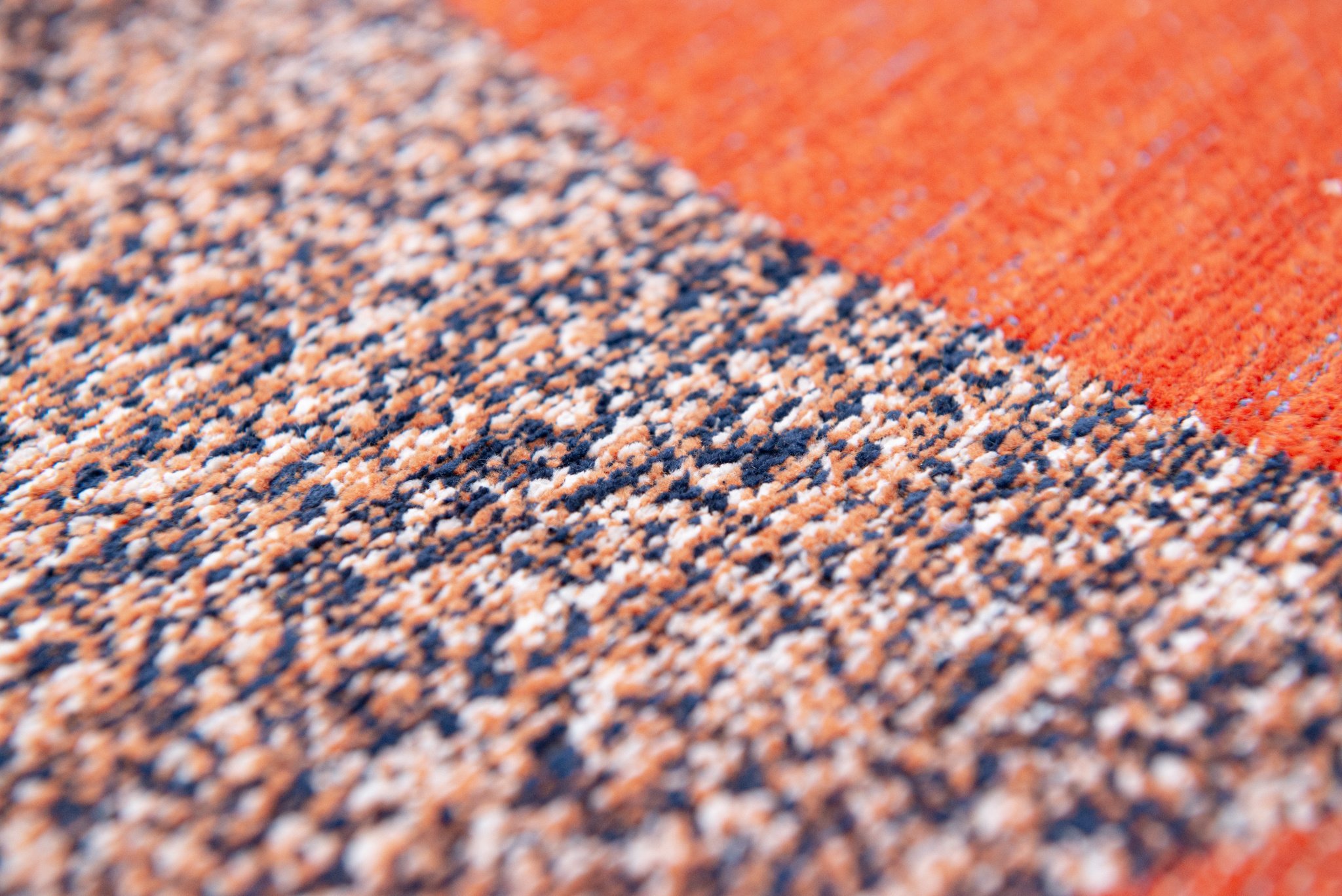 Carpe Diem Rug | Size: 100 × 140 cm