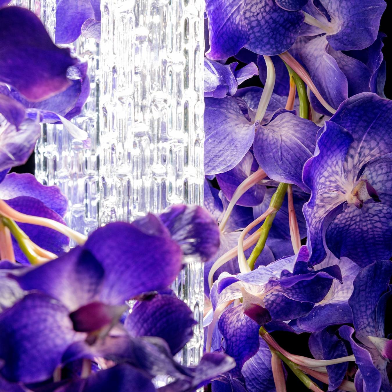 Vanda Square Artisan Chandelier