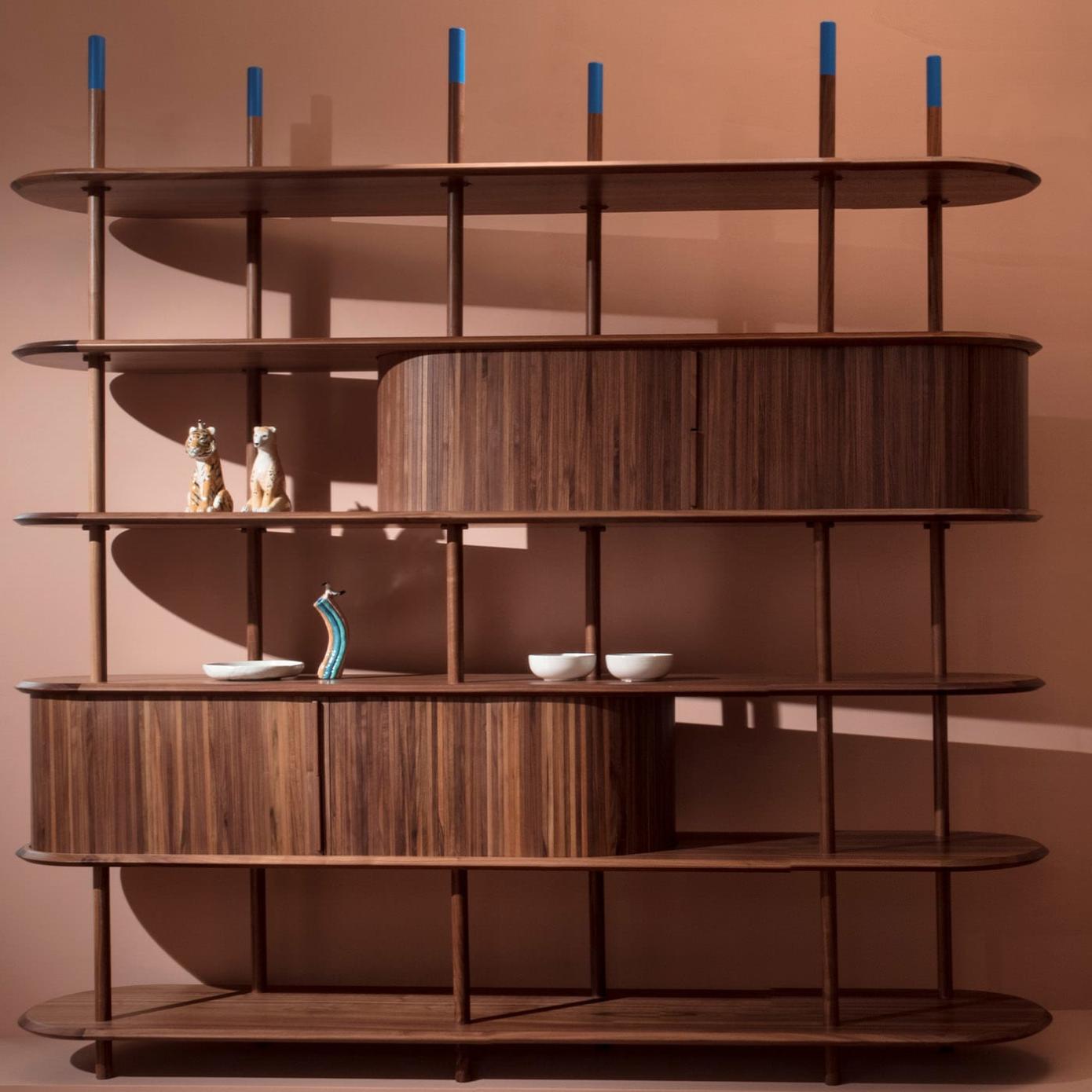 Modern Walnut Bookcase