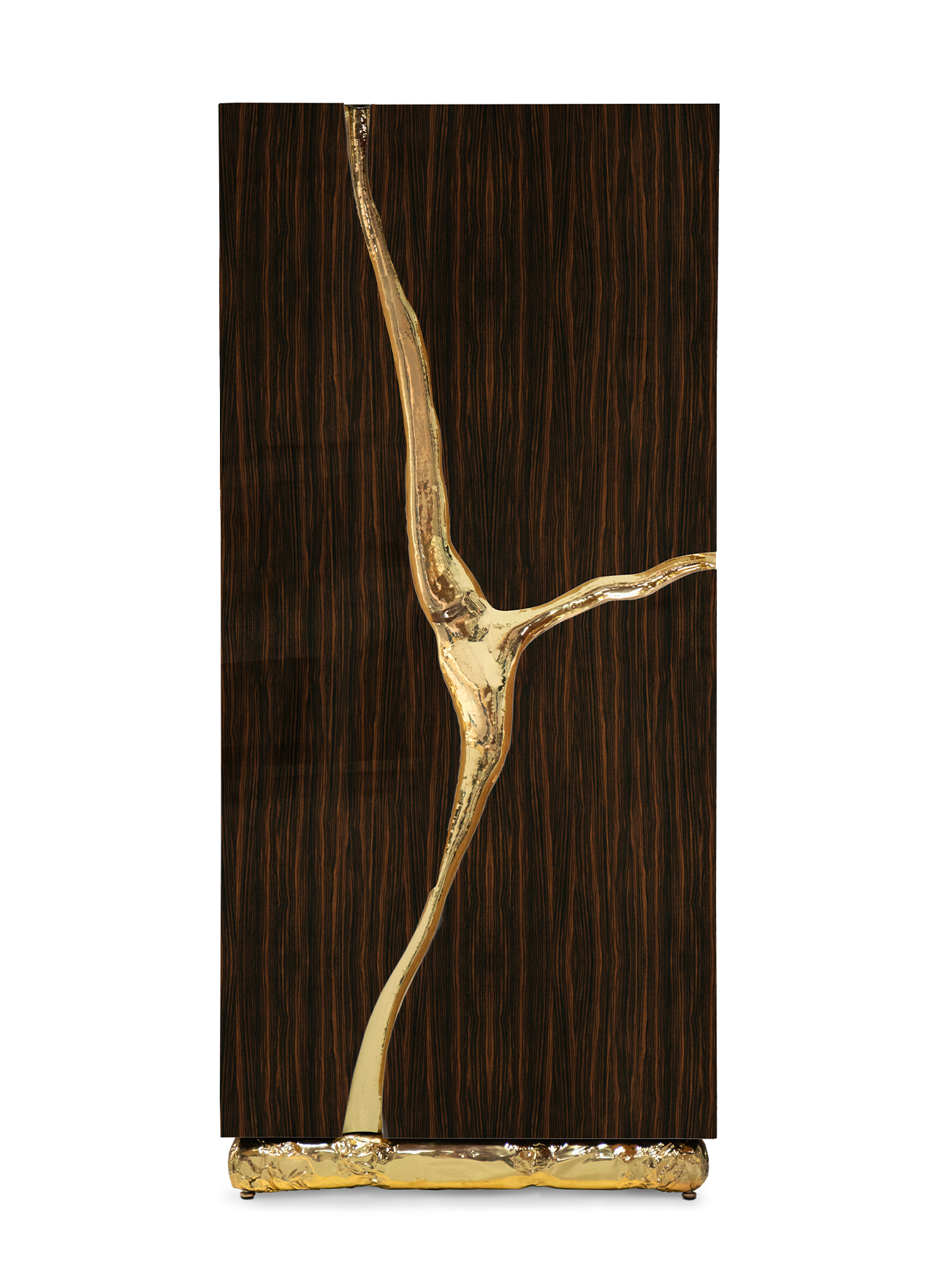 Fissure Cabinet