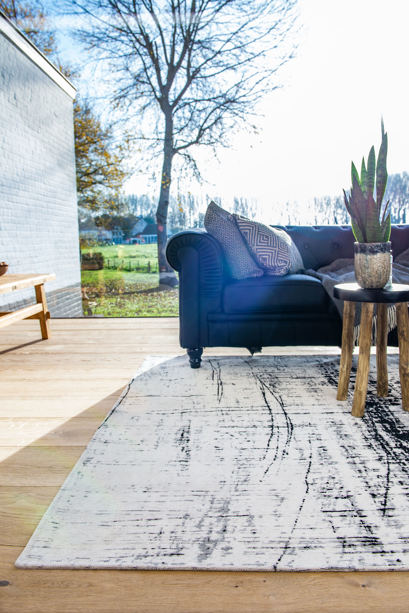 Black & White Rug | Size: 280 × 390 cm