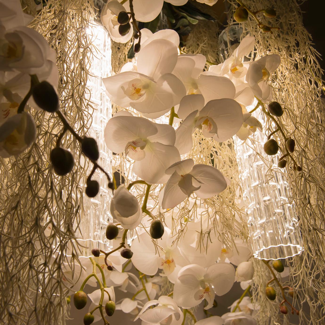 Phalaenopsis Artisan Chandelier
