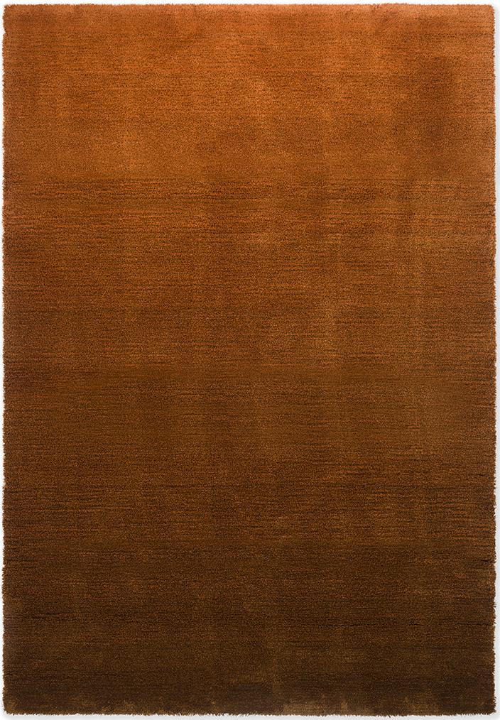 سجادة «شيد لو» | المقاس: 170 × 240 cm