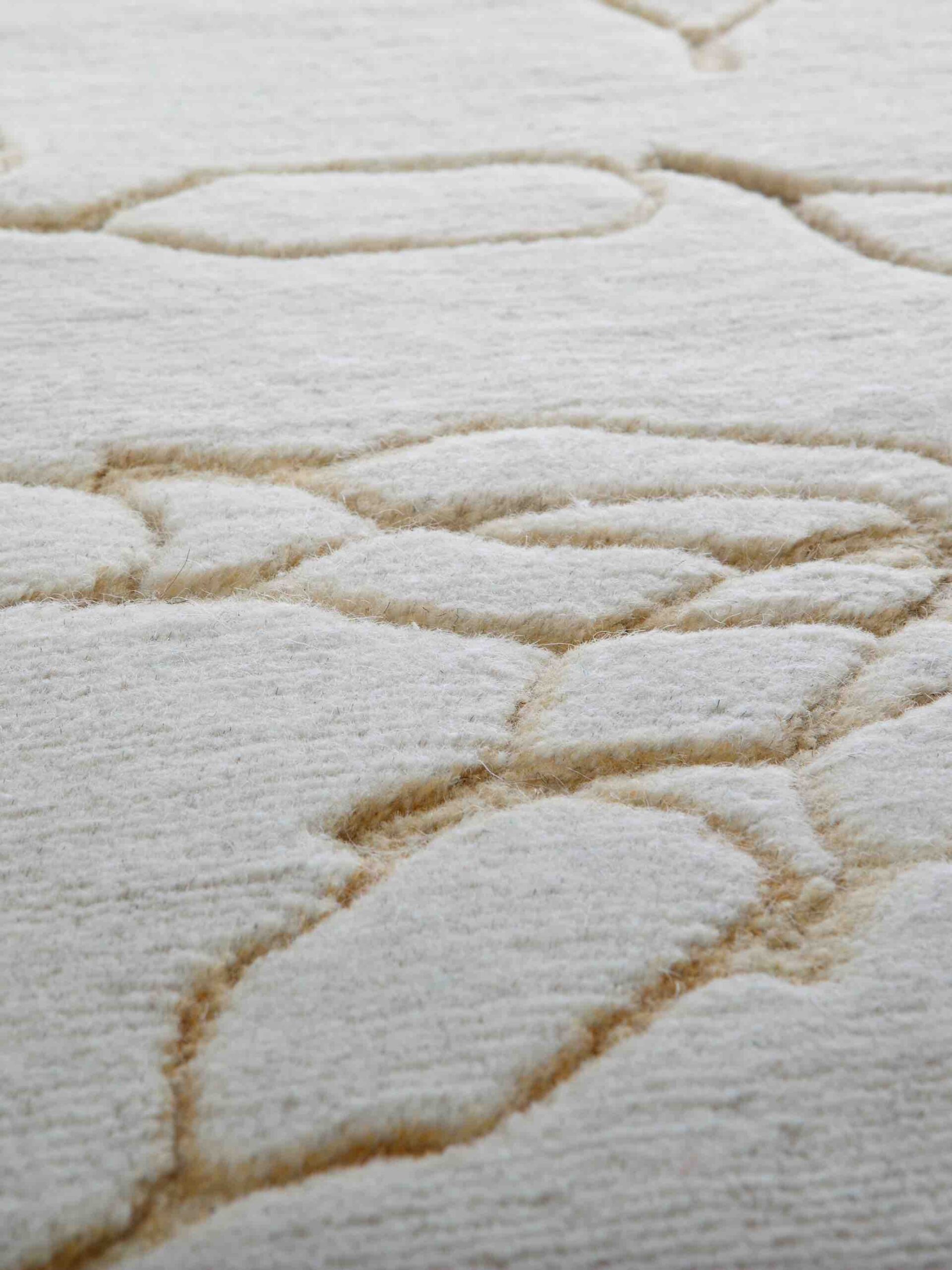 New Brand Rug