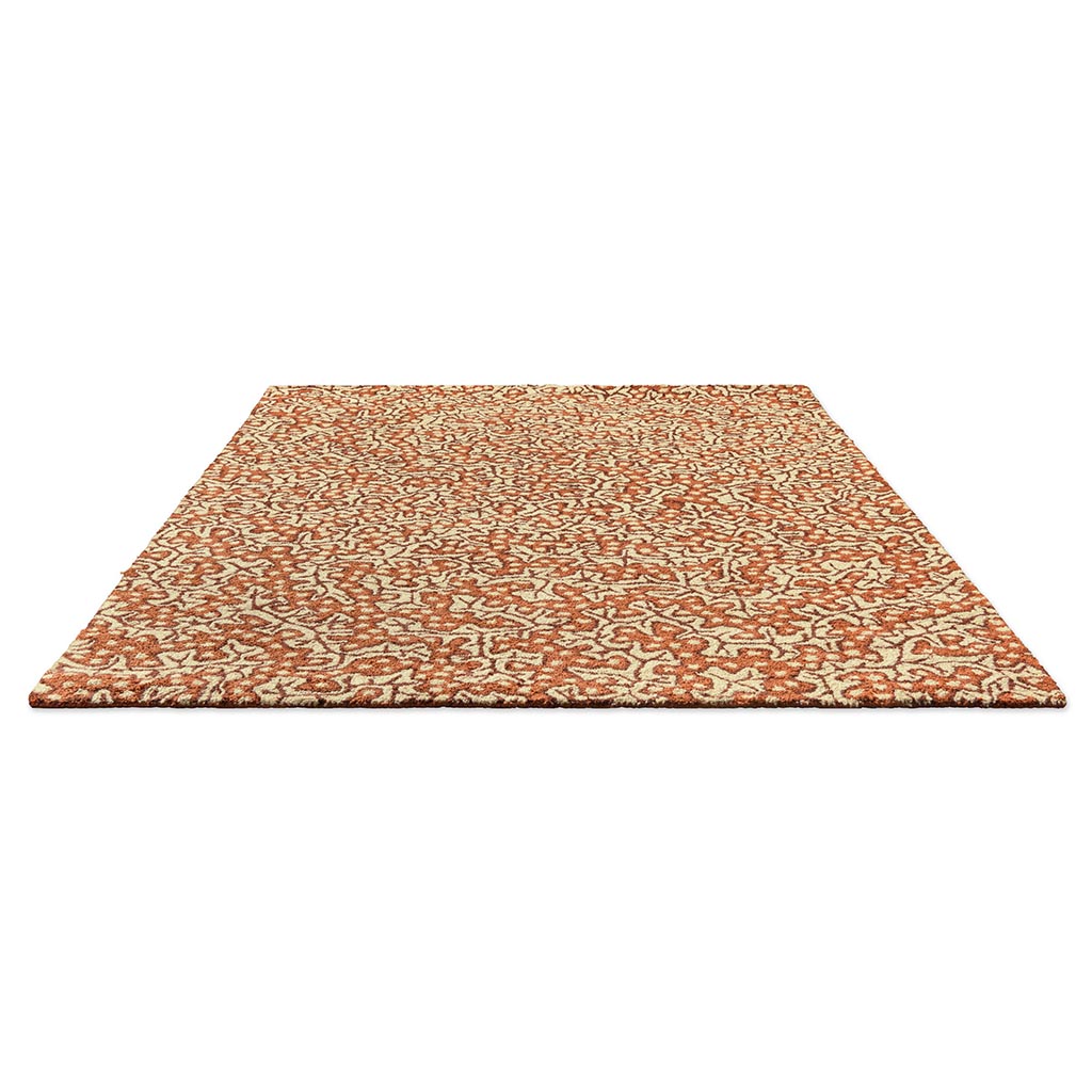 Truffle Outdoor Rug | Size: 140 × 200 cm