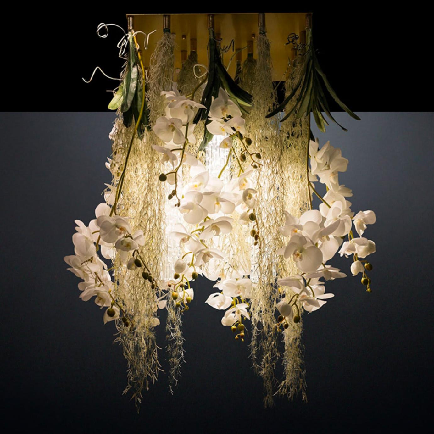 Phalaenopsis Artisan Chandelier
