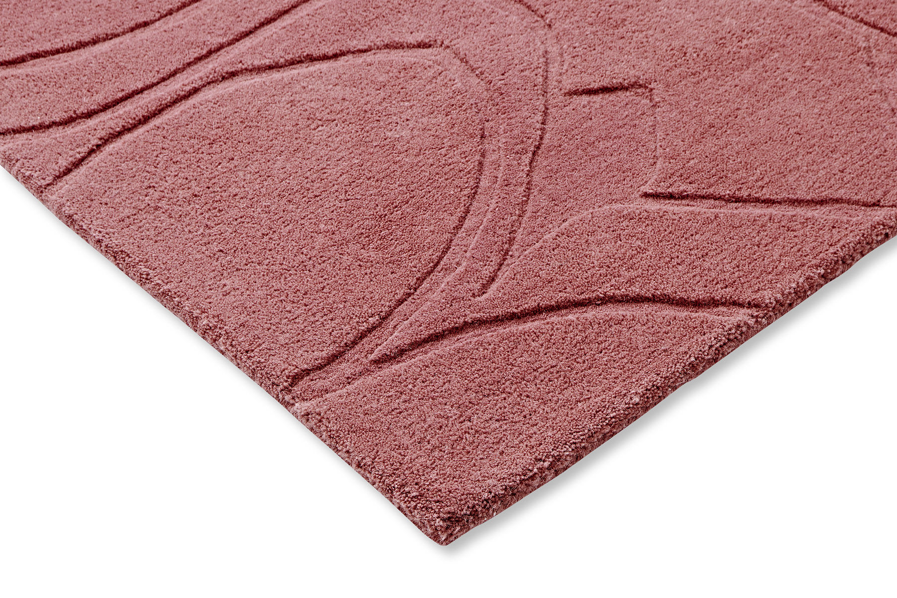 Romantic Magnolia Rug | Size: 200 × 280 cm