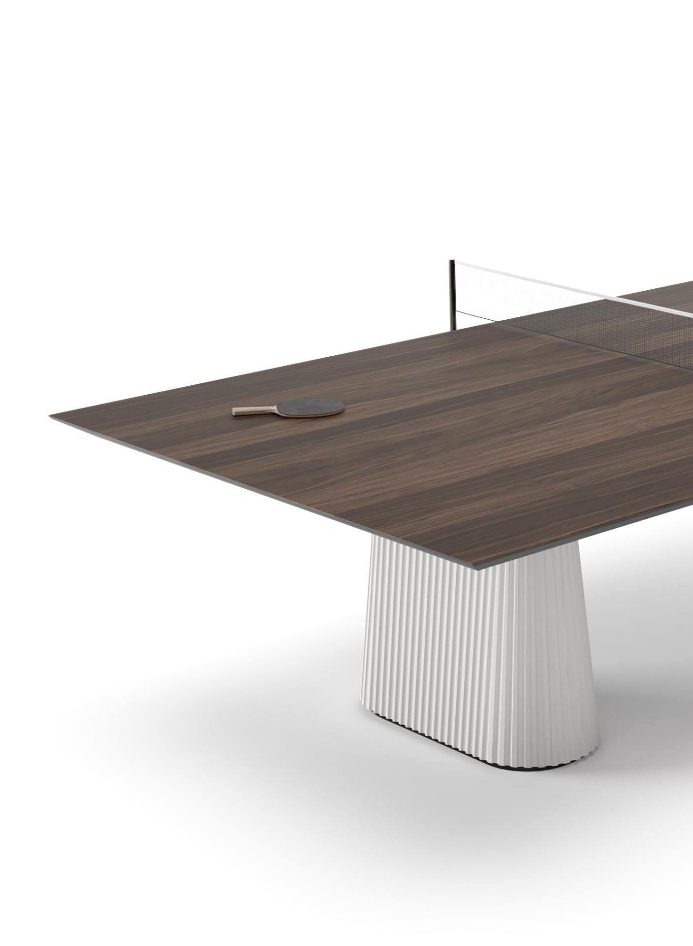 Outdoor-Indoor Table Tennis Table