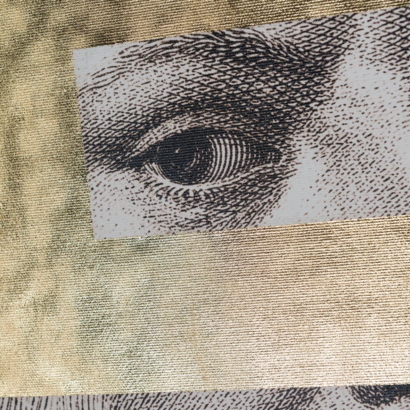 Leonardo Eye Italian Panel
