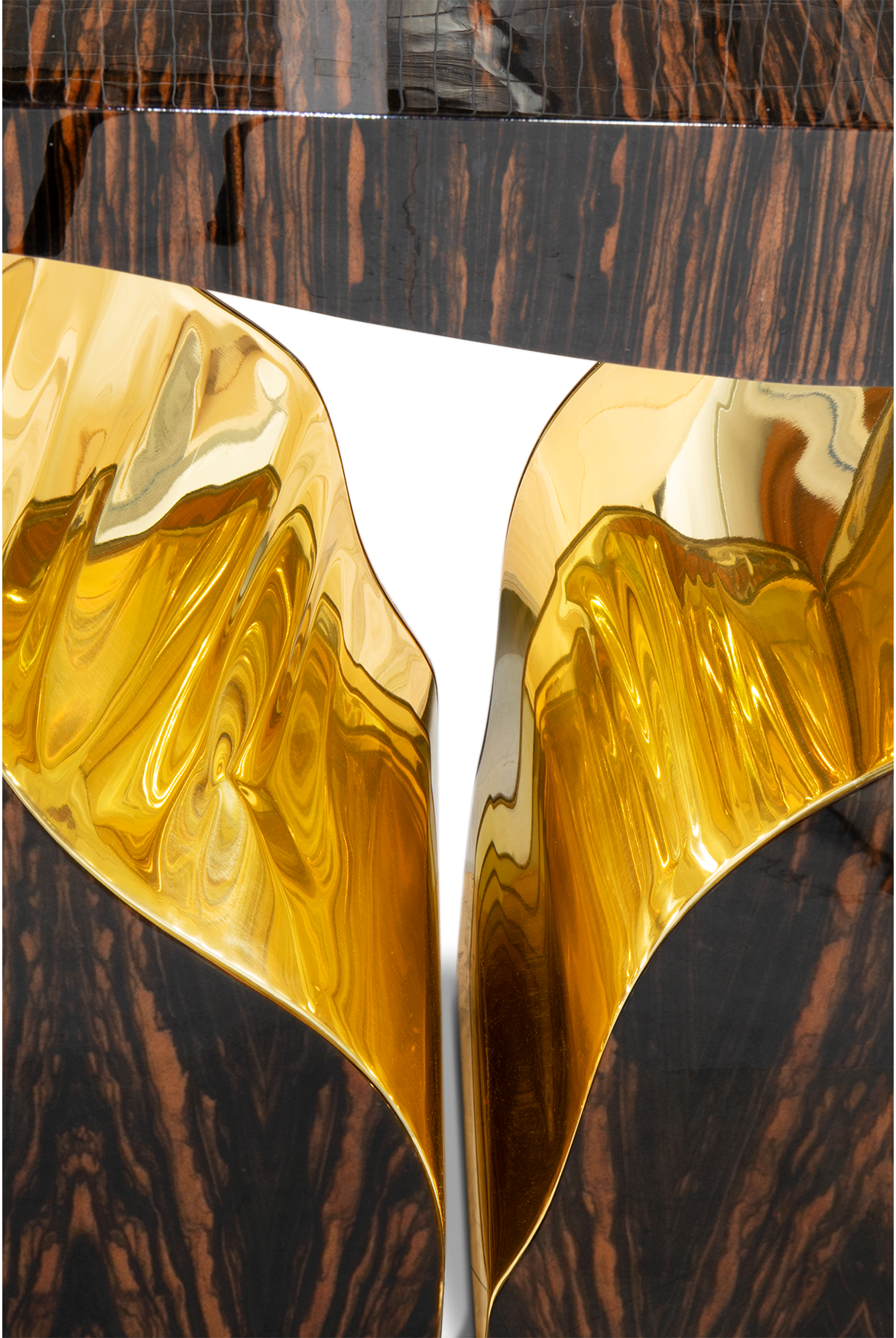 كونسول «فِشِر» إبوني