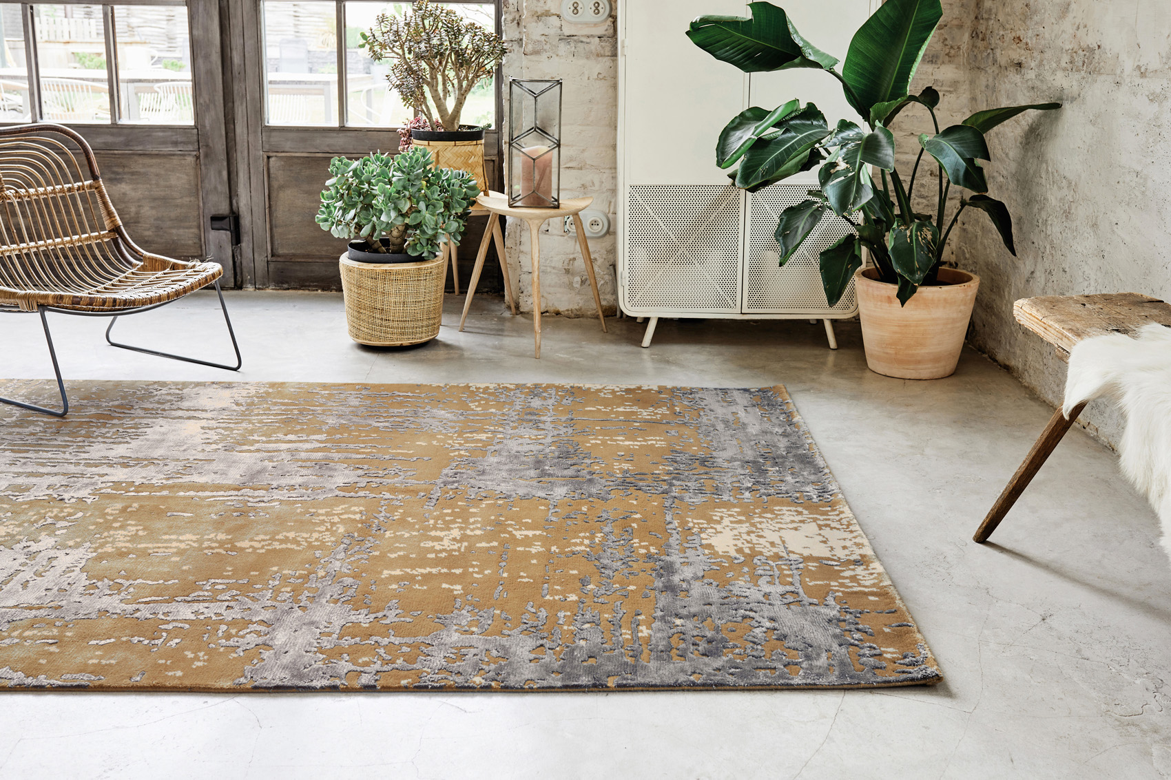 Used Rug | Size: 250 × 350 cm