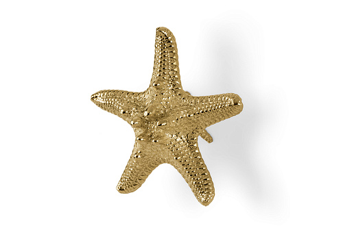Starfish Linckia Handle