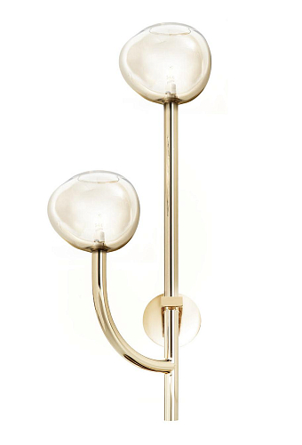 Honey Glass 2-Light Wall Lamp in Soft Gold