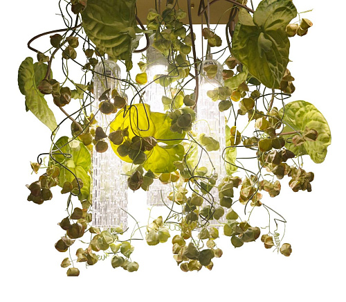 Physalis Anthurium Handcrafted Chandelier