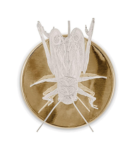 مصباح جداري «فيلغري» جندب