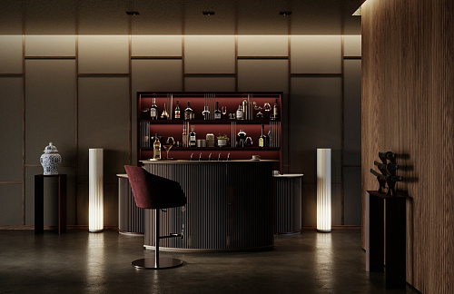 Luxury Home Bar with Counter