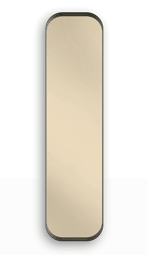 Ron Mirror