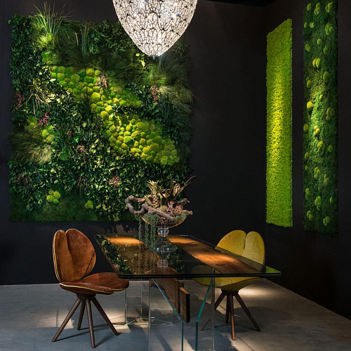 Flatmoss and Polemoss Wall Composition
