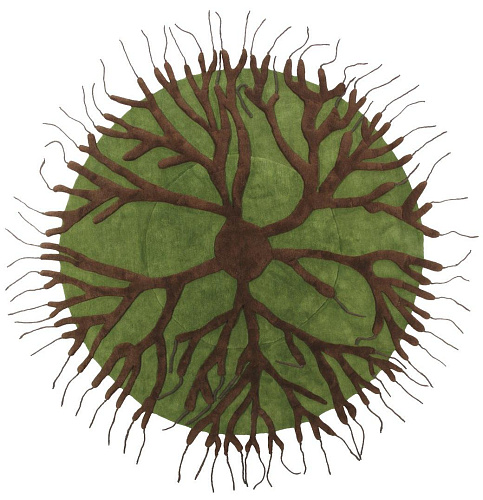 سجادة «روتس»